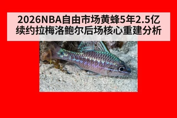 2026NBA自由市场黄蜂5年2.5亿续约拉梅洛鲍尔后场核心重建分析